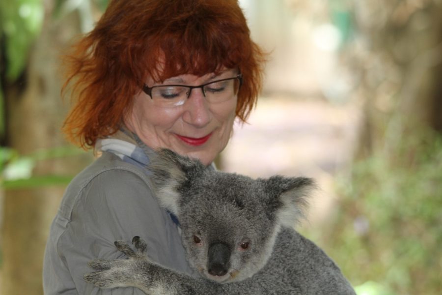 Lone Pine Koala Sanctuary