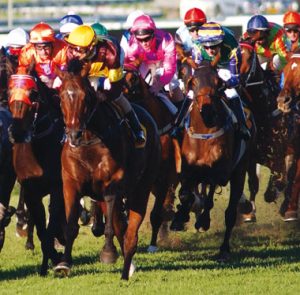 Brisbane Racing Behind the Scenes Tour