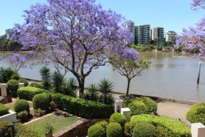 Kangaroo Point apartment accommodation