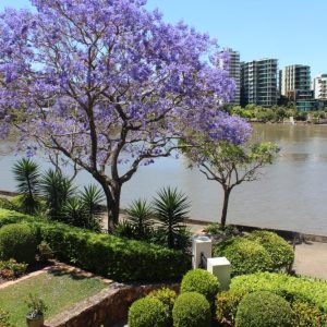 Exploring Kangaroo Point Accommodation: The Best Places to Stay