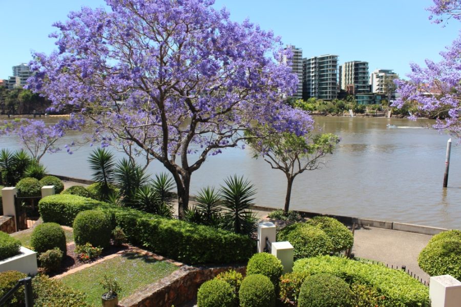 Kangaroo Point accommodation