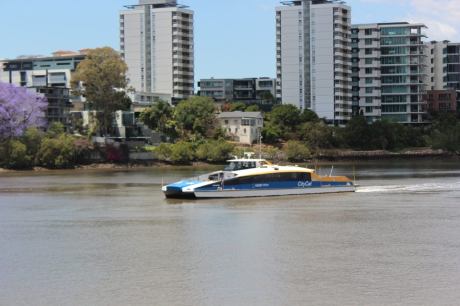 Brisbane ferry 