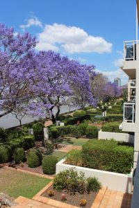 Bridgewater Terraces - best accommodation in Brisbane