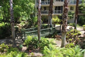 Bridgewater Terraces - tropical gardens