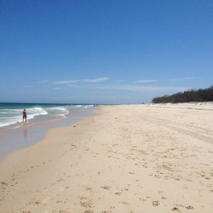 Top 5 Brisbane Day Trips